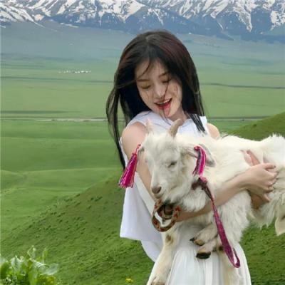 狄仁杰之异虫谜案